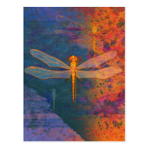 Flaming Dragonfly Post Card