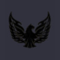 Flaming Firebird shirt