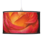 Flaming Red Rose Blooms on Black Hanging Lamps