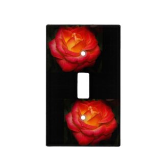Flaming Red Rose Blooms on Black Light Switch Covers