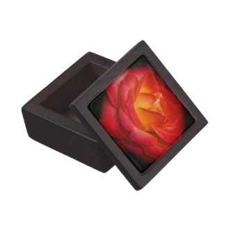 Flaming Red Rose Gift Box planetjillgiftbox