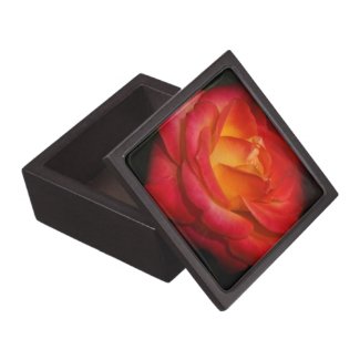 Flaming Red Rose Gift Box Premium Gift Boxes