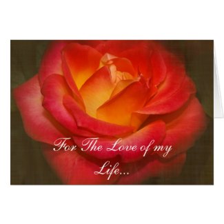 Flaming Red Rose on Parchment Greeting Cards