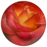Flaming Red Rose on Parchment Porcelain Plates