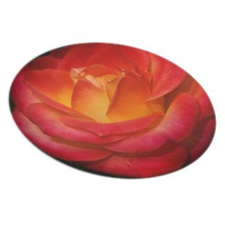 Flaming Red Rose Plate plate