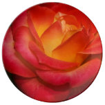 Flaming Red Rose Porcelain Plate