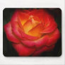 Flaming rose mousepad