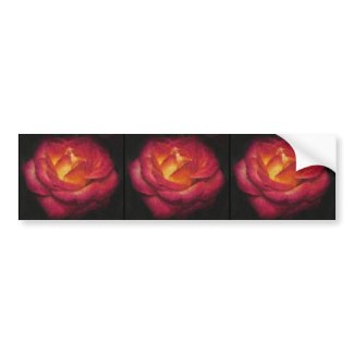 Flaming Rose Oil Painting Bumper Stickers