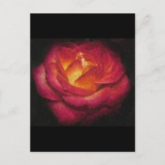 Flaming Rose Oil Painting Postcards