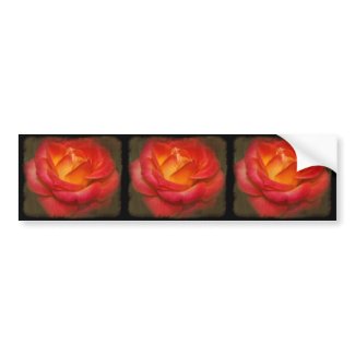 Flaming Rose on Parchment Bumper Sticker