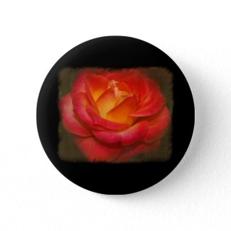 Flaming Rose on Parchment Buttons