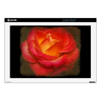 Flaming Rose on Parchment Laptop Skins