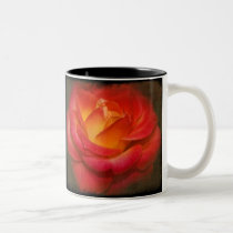 Flaming Rose on Parchment mugs