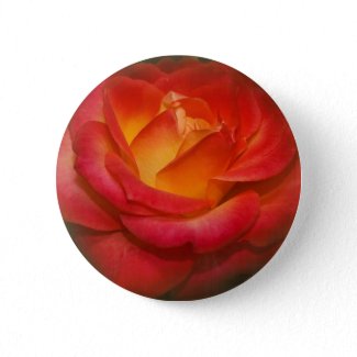 Flaming Rose on Parchment Pin