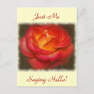 Flaming Rose on Parchment Postcard