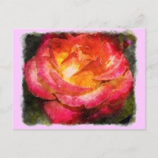 Flaming Rose Watercolor Post Card