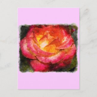 Flaming Rose Watercolor Post Cards