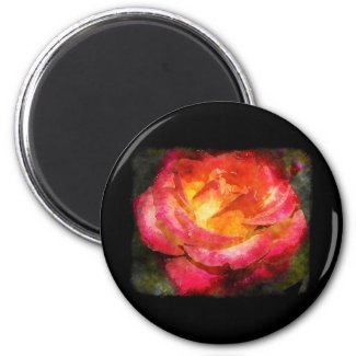 Flaming Rose Watercolor Refrigerator Magnets