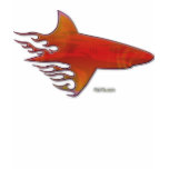 Flaming Shark by FishTs.com