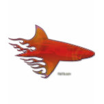 Flaming Shark by FishTs.com