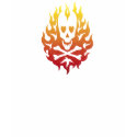 "Flaming Skull" Ladies Tank Top t-shirts
