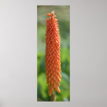 Flaming Spear II Print