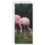Flamingo - A set of Flamingos Rack Card Design
