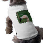 Flamingo Bird Pet Shirt