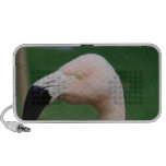 Flamingo Bird Portable Speakers