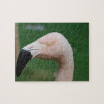 Flamingo Bird Puzzle