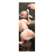 Flamingo Bookmark business cards by ChiaPetRescue Flamingo Bookmark business cards
