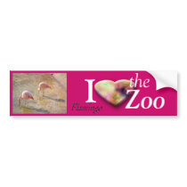 Flamingo Bumper Sticker