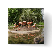 FLAMINGO buttons