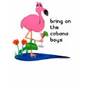Flamingo Cabana Boy T-Shirt