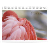 Flamingo Calendar by LadyKassie Flamingo Calendar
