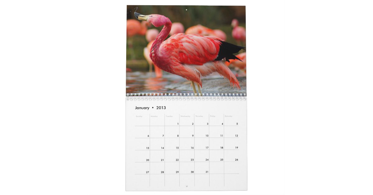 Flamingo Calendar Zazzle