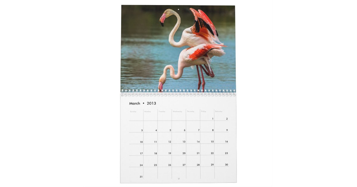 Flamingo Calendar | Zazzle