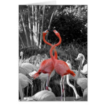 flamingo cards