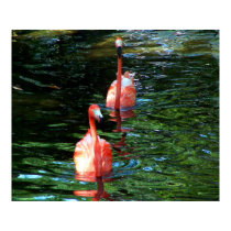 Flamingo Couple posters