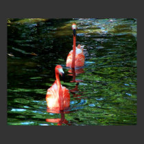 Flamingo Couple posters