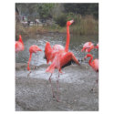 flamingo dance letterhead by joacreations flamingo dance letterhead