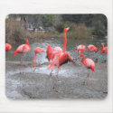flamingo dance mousepads by joacreations flamingo dance mousepads