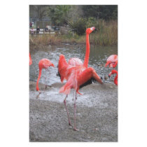 flamingo dance stationery by joacreations flamingo dance stationery