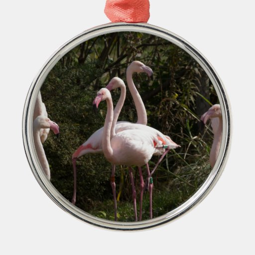 flamingo flock round metal christmas ornament zazzle flamingo flock round metal christmas ornament zazzle