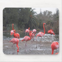 Flamingo fun mousepads by joacreations Flamingo fun mousepads