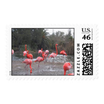 Flamingo fun postage by joacreations Flamingo fun postage