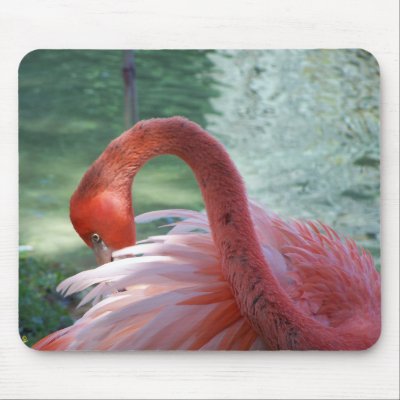 Flamingo II Mouse Pads by Envelope150