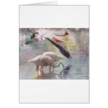Flamingo In Flight Card