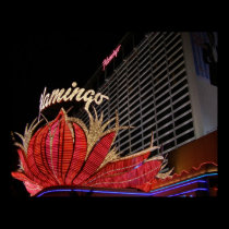 Flamingo Las Vegas Poster posters