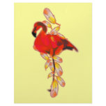 Flamingo Customized Letterhead